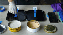 同一時間使用蜜蠟250的模具在差不多2秒后就掉落在桌面上，但使用常規(guī)蠟的模具還是牢牢地穩(wěn)固貼在模具上，附著力十分強，由此可見使用蜜蠟250的脫膜效果更勝一籌。