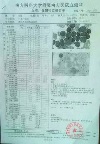 高俊的血液、骨髓檢查報(bào)告單