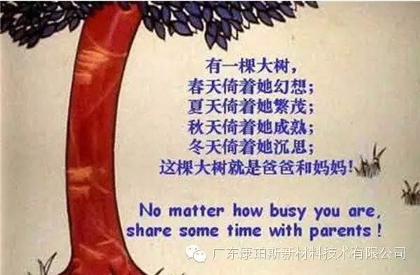 樹(shù)就是我們的父母！請(qǐng)愛(ài)護(hù)你們身邊的這棵樹(shù)！