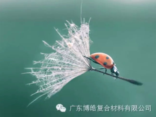 【博皓感悟】成功，要“借力”，不要“盡力”